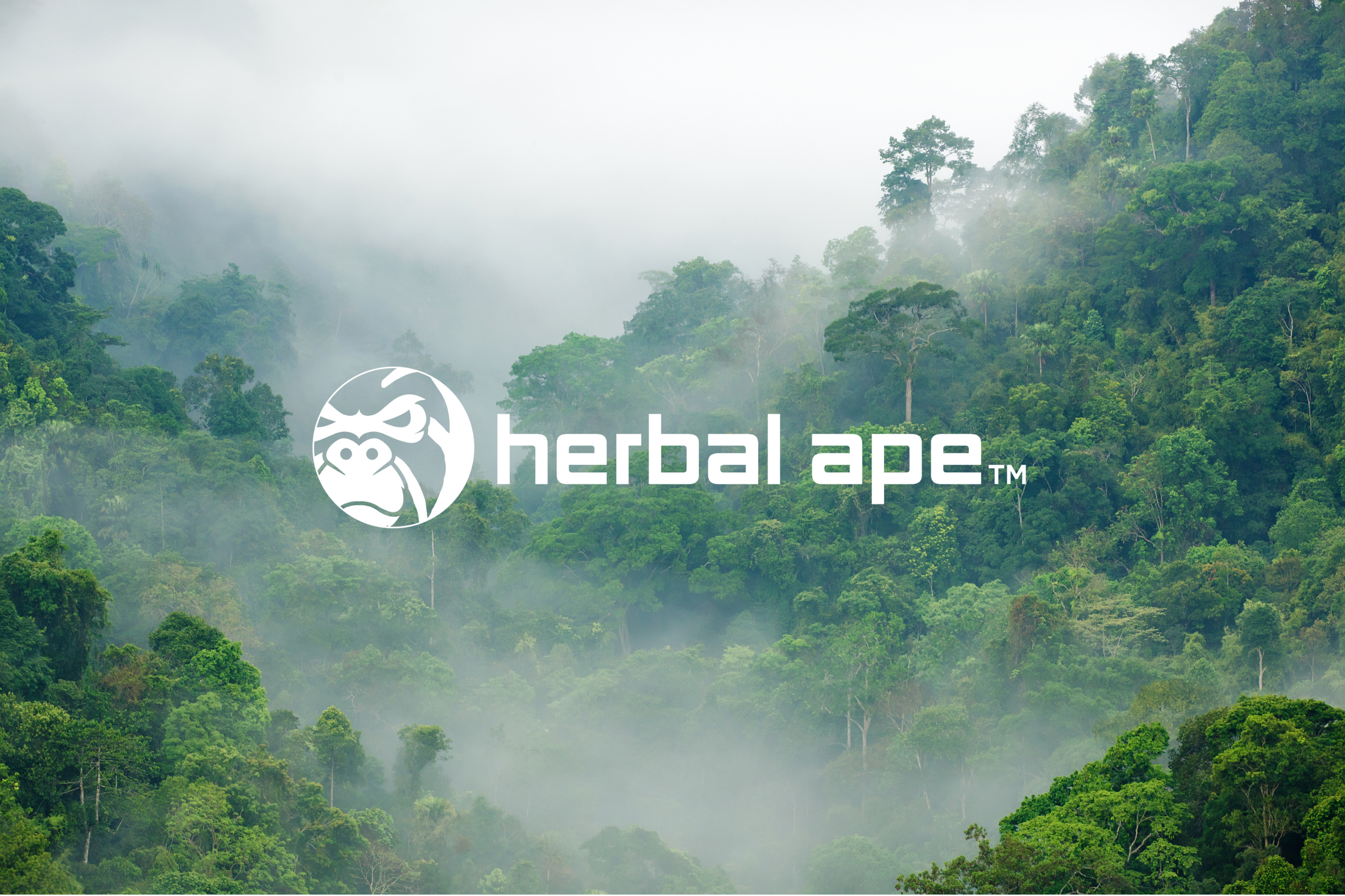Lush jungle landscape on a hillside with low-hanging clouds, featuring the Herbal Ape logo and brand name centered in the image.