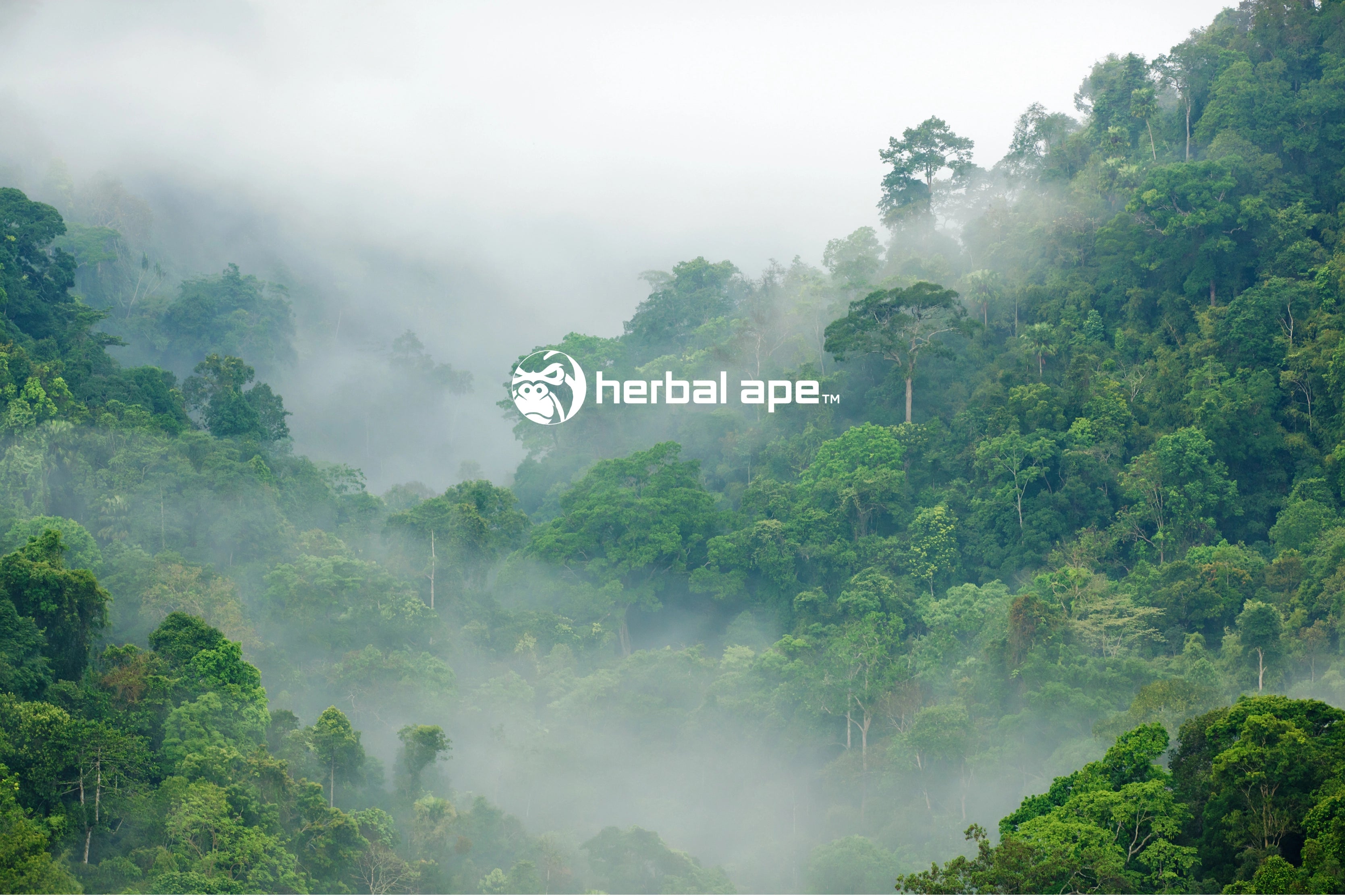 Lush jungle landscape on a hillside with low-hanging clouds, featuring the Herbal Ape logo and brand name centered in the image.
